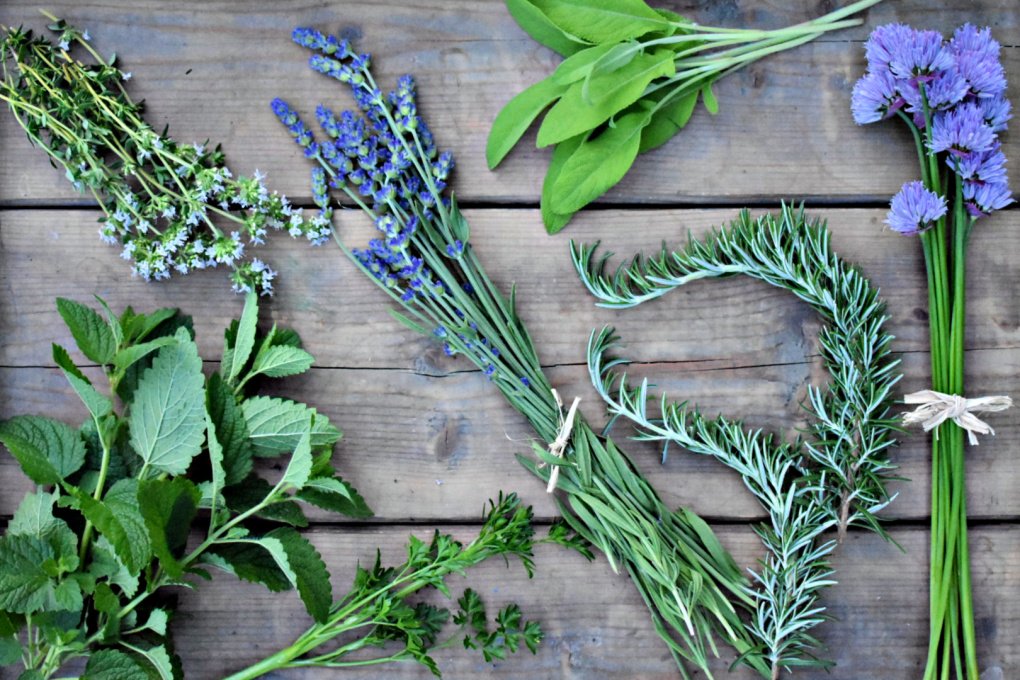3 Herbs That Can Help Reduce Stress